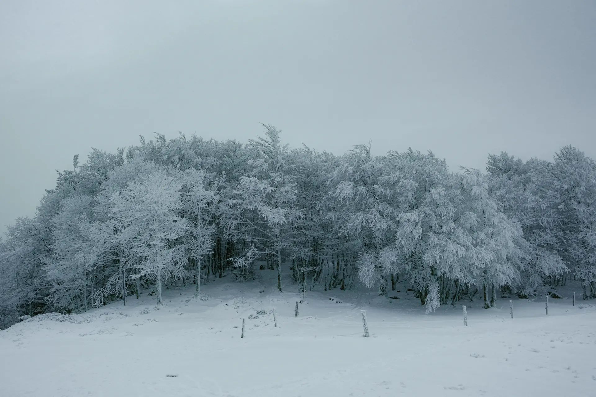 2 jours de randonnée en raquettes dans les Vosges
