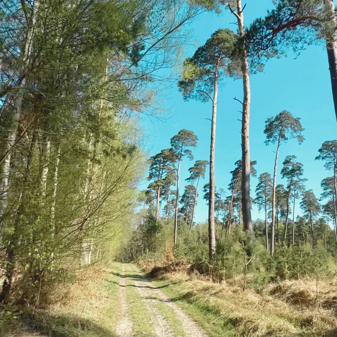 Sortie gravel dans l'Oise au départ de Paris